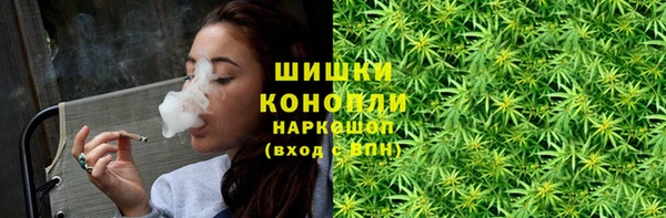шишки Абинск