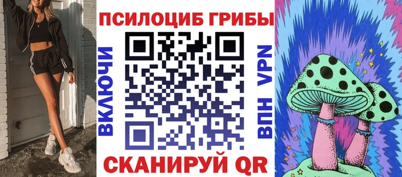 Псилоцибиновые грибы прущие грибы  как найти наркотики  Шахты 
